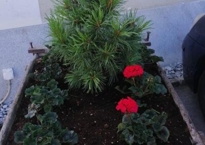 Servizio di giardinaggio in Engadina e St. Moritz – cura del prato, potatura alberi e manutenzione giardini privati e aziendali.