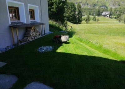 Servizio di giardinaggio in Engadina e St. Moritz – cura del prato, potatura alberi e manutenzione giardini privati e aziendali.