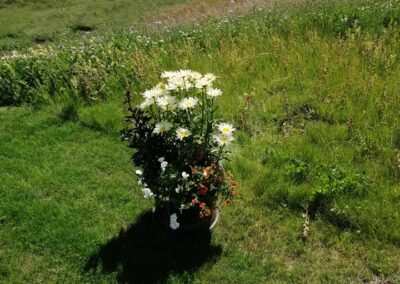 Servizio di giardinaggio in Engadina e St. Moritz – cura del prato, potatura alberi e manutenzione giardini privati e aziendali.