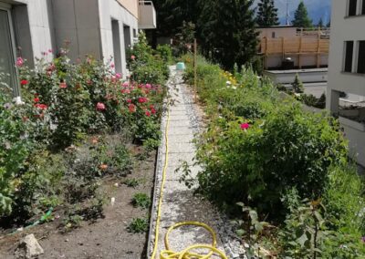 Servizio di giardinaggio in Engadina e St. Moritz – cura del prato, potatura alberi e manutenzione giardini privati e aziendali.