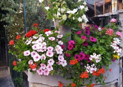 Servizio di giardinaggio in Engadina e St. Moritz – cura del prato, potatura alberi e manutenzione giardini privati e aziendali.