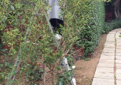 Servizio di giardinaggio in Engadina e St. Moritz – cura del prato, potatura alberi e manutenzione giardini privati e aziendali.