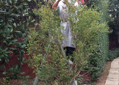 Servizio di giardinaggio in Engadina e St. Moritz – cura del prato, potatura alberi e manutenzione giardini privati e aziendali.